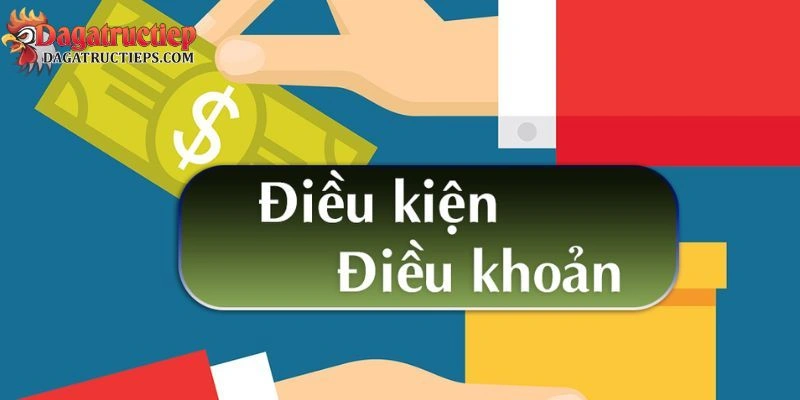 Điều khoản điều kiện