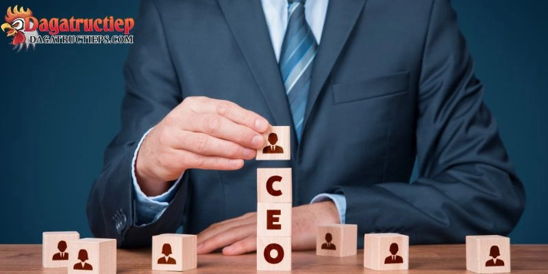 ceo đá gà trực tiếp