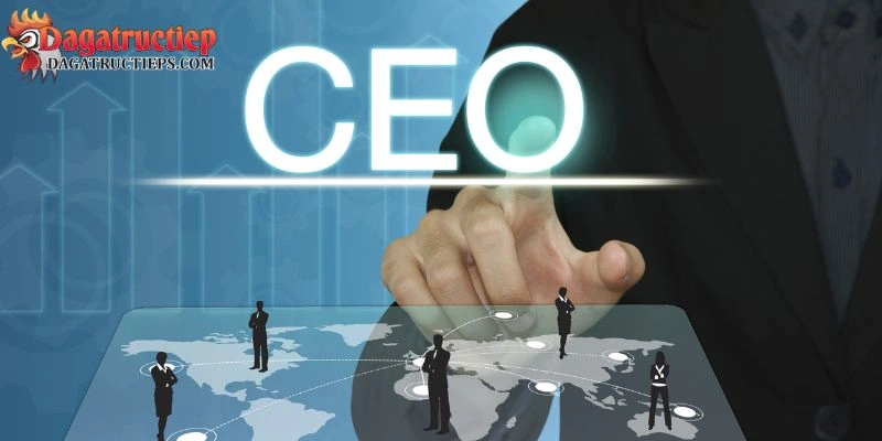 ceo đá gà trực tiếp
