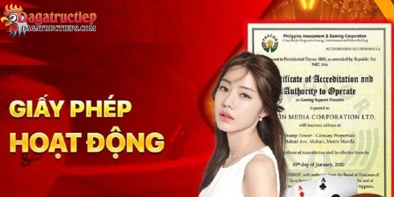 Đá gà trực tiếp