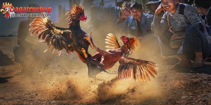 đăng nhập