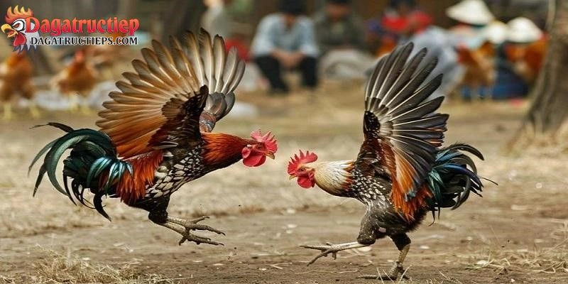 đăng nhập